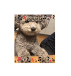 ❤︎୨୧色々スタンプ2୨୧❤︎（個別スタンプ：5）