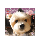 ❤︎୨୧色々スタンプ2୨୧❤︎（個別スタンプ：6）