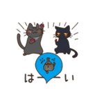 ブラックキャッツ plus F（個別スタンプ：23）