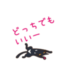 ブラックキャッツ plus F（個別スタンプ：38）