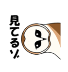 見てるよ フクロウさん（個別スタンプ：1）