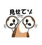 見てるよ フクロウさん（個別スタンプ：5）