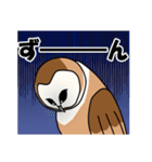 見てるよ フクロウさん（個別スタンプ：6）