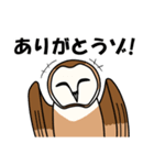 見てるよ フクロウさん（個別スタンプ：7）