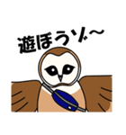 見てるよ フクロウさん（個別スタンプ：13）
