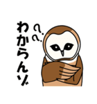 見てるよ フクロウさん（個別スタンプ：17）