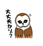 見てるよ フクロウさん（個別スタンプ：19）