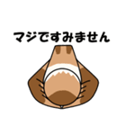 見てるよ フクロウさん（個別スタンプ：21）
