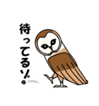 見てるよ フクロウさん（個別スタンプ：33）