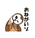 見てるよ フクロウさん（個別スタンプ：35）