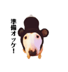 ブルテリア 牡丹ょん（個別スタンプ：3）