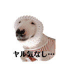 ブルテリア 牡丹ょん（個別スタンプ：22）