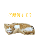 トラチワちゃん☆☆☆☆☆☆（個別スタンプ：2）