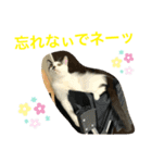 トラチワちゃん☆☆☆☆☆☆（個別スタンプ：4）