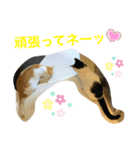 トラチワちゃん☆☆☆☆☆☆（個別スタンプ：8）
