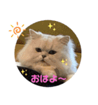 おみちゃんとしおちゃん（個別スタンプ：2）