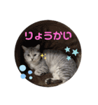 おみちゃんとしおちゃん（個別スタンプ：7）