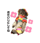 おみちゃんとしおちゃん（個別スタンプ：15）