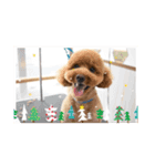❤︎୨୧わんちゃんスタンプ୨୧❤︎（個別スタンプ：7）