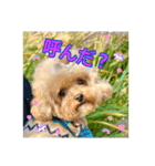 ❤︎୨୧いろいろスタンプ୨୧❤︎（個別スタンプ：2）