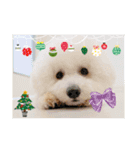 ❤︎୨୧いろいろスタンプ୨୧❤︎（個別スタンプ：4）