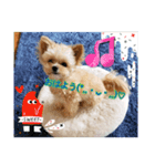 ❤︎୨୧いろいろスタンプ୨୧❤︎（個別スタンプ：6）