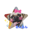 cimu_cimu.d_p☆（個別スタンプ：1）