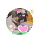 cimu_cimu.d_p☆（個別スタンプ：3）