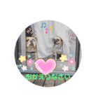 cimu_cimu.d_p☆（個別スタンプ：8）