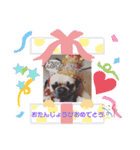 cimu_cimu.d_p☆（個別スタンプ：11）