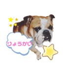 cimu_cimu.d_p☆（個別スタンプ：12）