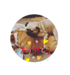 cimu_cimu.d_p☆（個別スタンプ：13）