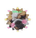 cimu_cimu.d_p☆（個別スタンプ：15）