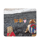 cimu_cimu.d_p☆（個別スタンプ：23）