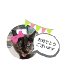 マーブルとラムネ（個別スタンプ：3）