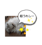 マーブルとラムネ（個別スタンプ：12）