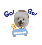 Mocoスタンプ 1（個別スタンプ：11）