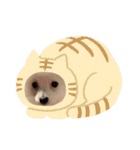Mocoスタンプ 1（個別スタンプ：20）