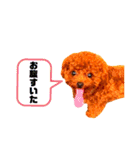 むぎちゃくんpart1（個別スタンプ：16）