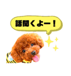 むぎちゃくんpart1（個別スタンプ：34）