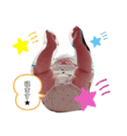 今日も元気な陸さん（個別スタンプ：5）