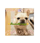 ❤️୨୧わんわんスタンプ୨୧❤️（個別スタンプ：8）