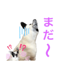 えるの気持ち❺（個別スタンプ：3）