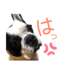 えるの気持ち❺（個別スタンプ：6）