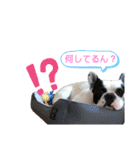 えるの気持ち❺（個別スタンプ：7）