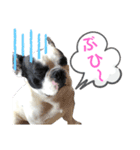 えるの気持ち❺（個別スタンプ：9）