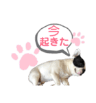 えるの気持ち❺（個別スタンプ：13）
