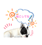 えるの気持ち❺（個別スタンプ：14）