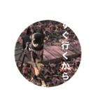 まいにちチワワ2019（個別スタンプ：1）