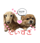 ミルトコトコ（個別スタンプ：2）